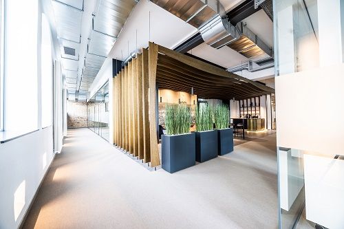 ETL Bodensee Sanierung Sterkel Erdgeschoss Bild05 ETL Bodensee Sanierung Sterkel Erdgeschoss Bild05